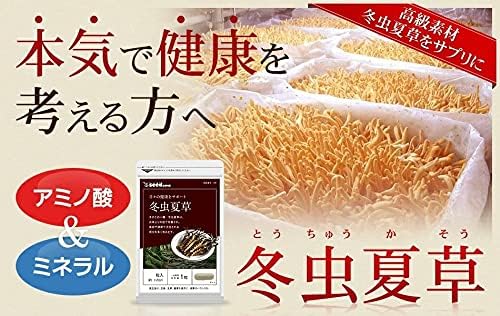 Кордицепс для повышения имунитета Seedcoms на 90 дней